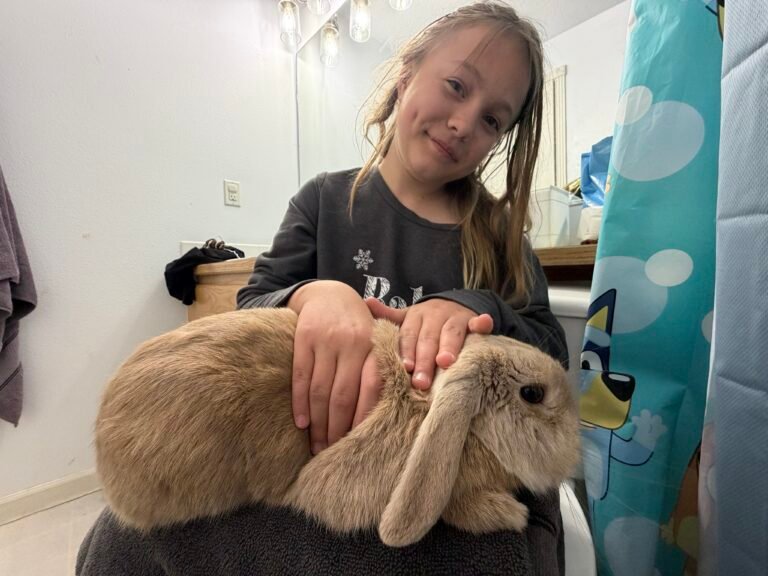 BUNNY!!!!!!!!!!!!!!!
